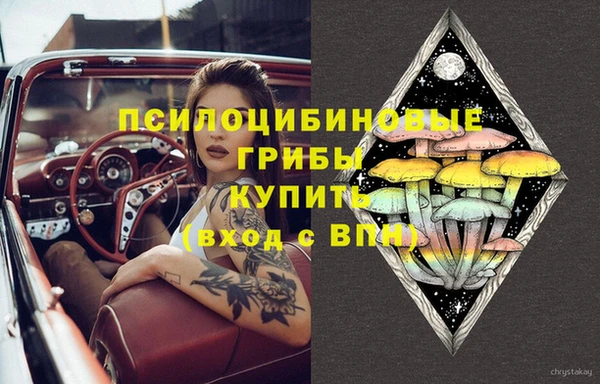 не бодяженный Санкт-Петербург
