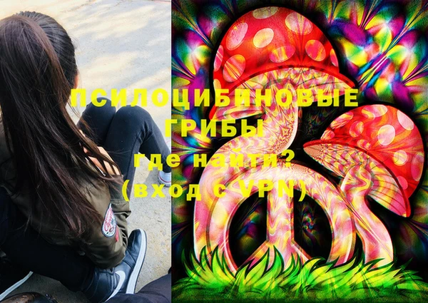 ГАЛЛЮЦИНОГЕННЫЕ ГРИБЫ Беломорск
