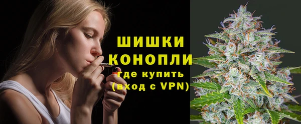 ГАЛЛЮЦИНОГЕННЫЕ ГРИБЫ Беломорск