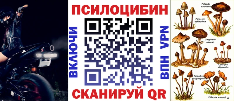 darknet состав  Болотное  Псилоцибиновые грибы ЛСД  где продают  