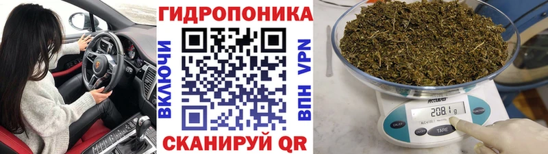 Бошки Шишки марихуана Болотное